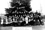 1906